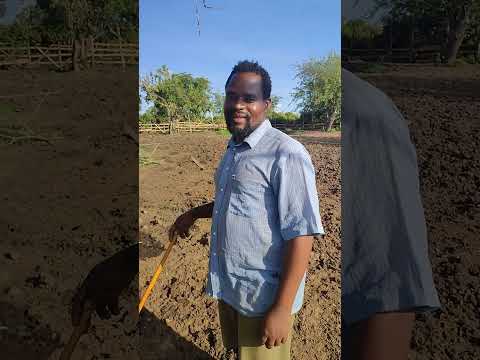 NTEMI KUMBE ANAJUA KUIMBA