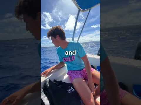 Can Sharks Smell A Drop Of Blood