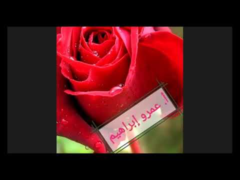 مناقشة امتحان المعاصر التجريبي لولاية البحر الأحمر