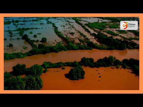 Mafuriko Yasomba Mali Na Mimea Mashambani Huko Mabera Kaunti Ya Migori