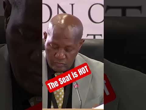 Madlanga Will Antworten Shorts