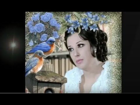 نجاة الصغيرة على طرف جناحك ياحمامي نجاة الصغيرة على طرف جناحك ياحمامي