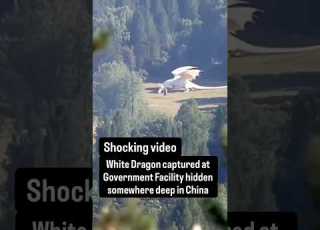 White Dragon Captured At Government Facility In China