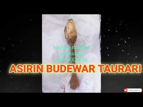 ASIRIN BUDEWAR TAURARI MUJARRABI