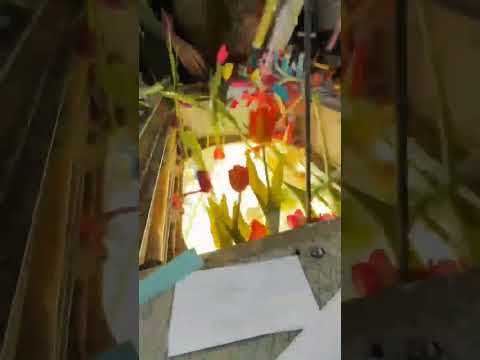 الذكرى السنوية للثورة السورية دوري يا فرحة على الحبايب دوري الشام فتح ياسمين وجوري