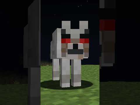 POR QUÉ LOS LOBOS TE ATACAN CUANDO LOS GOLPEAS Minecraft Minecraftshorts Shorts