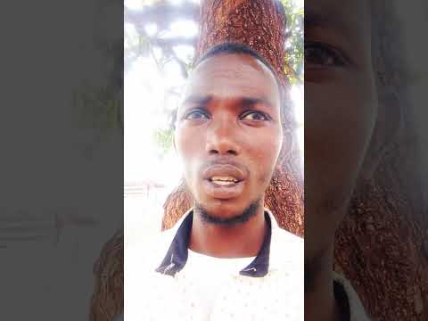 Oduu Gaddaa Balaa Tiraafikaa Baale Aanaa Barbareetti