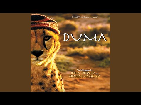 Phiry The Bird Sings