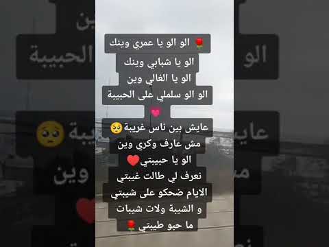 ألو يا عمري فينك ألو يا شبابي وينك