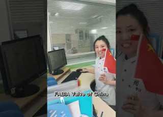  FABIA Valve Ball Valve Butterfly Valve Air Valve Gate Valve