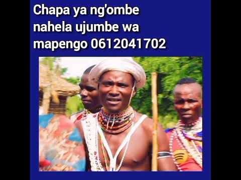 Limbu Luchagula Ujumbe Wa Mapengo Mpya 01 2026