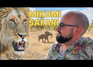  Safari Spectacle Mikumi Adventures With Zebras Buffalos And Lions