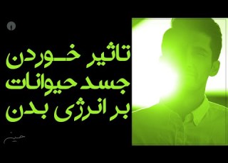 تاثیر خوردن گوشت بر ارژی درونی بدن