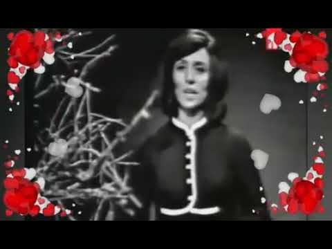 فيروز لا انت حبيبي