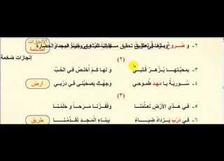 سورية أرض الأحرار الصف الخامس