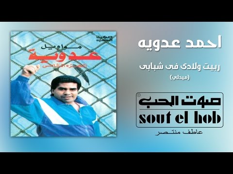 ربيت ولادي في شبابي موال احمد عدوية
