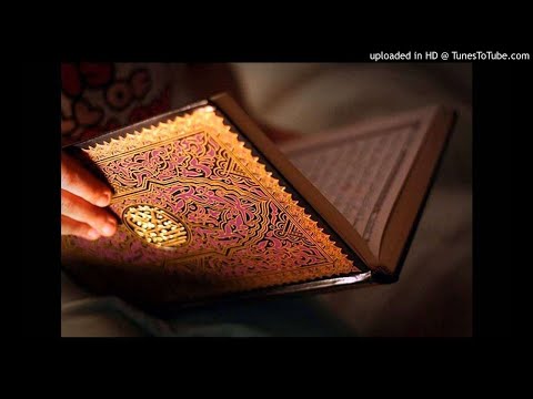 AtTakathur سورة التكاثر بصوت القارئ الشيخ الزين محمد أحمد AtTakathur سورة التكاثر بصوت القارئ الشيخ الزين محمد أحمد