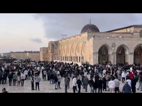 عظيم الشأن بدون موسيقى إبراهيم الأحمد روانوش تيليجرام Rawanoush1 حكيم رأيه قمم