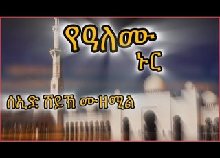 የዓለሙ ኑር በወጣቱ ማዲህ ሰኢድ ሸይኽ ሙዘሚል እንጉርጉሮ SHILILA SHILILA Seid Sheikh Muzemil