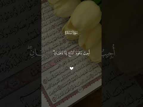 و إ ذ ا س أ ل ك ع ب اد ی ع ن ی ف إ ن ی ق ر یب و إ ذ ا س أ ل ك ع ب اد ی ع ن ی ف إ ن ی ق ر یب