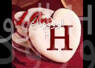  الووووووووووووووووداع يا غالي مافي الكون راح ضلني حبك طول عمري