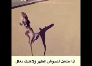  إذا طلعت للحوش الظهر ولاعليك نعول هههههههههههههه