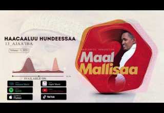 Hachalu Hundessa Ajaa Iba