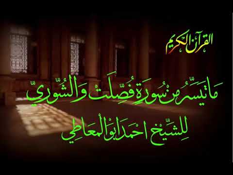الشيخ احمد ابوالمعاطى سورة فصلت والشورى