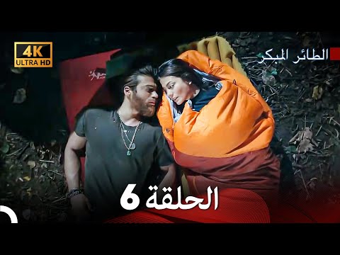 مسلسل الطائر المبكر الحلقة 6 4K Arabic Dubbed