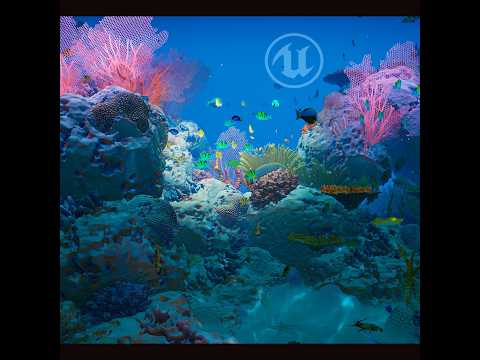 ReefScreenSave Longcut01