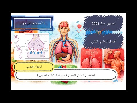 9 انتقال السيال العصبي ثانيا انتقال السيال من عصبون لآخر التشابك العصبي Synapse توجيهي أكاديمي 9 انتقال السيال العصبي ثانيا انتقال السيال من عصبون لآخر التشابك العصبي Synapse توجيهي أكاديمي