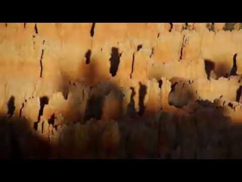 پشتو نظم دہ خاورو جوڑ خاوری انسانہ اخر خاوری بہ شی پشتو نظم دہ خاورو جوڑ خاوری انسانہ اخر خاوری بہ شی