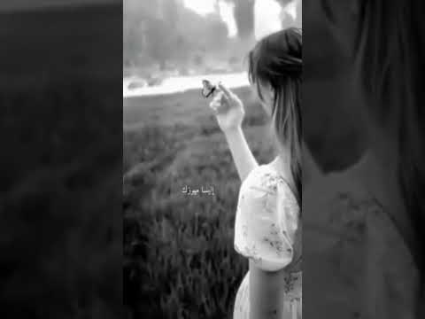 طول عمري خايفه احب واعشق زي كل الناس كل