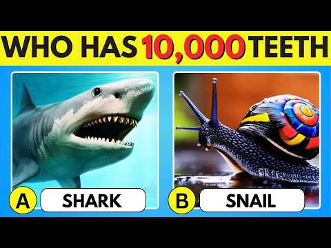 How Good Is Your Knowledge Of ANIMALS 40 Animals Knowledge Trivia Quiz