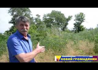  Місце розстрілу Холокост в Новому Стародубі Свідчення сельчан