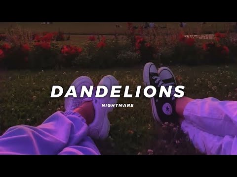 Dandelion Slowed Reverb Nightmare