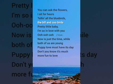 Pretty Little Baby Lyrics Connie Francis Lyrics