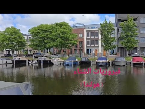 فيروزيات الشتاء وأجواء المطر في شوارع هولندا ساعتين من فيروز بدقه 4k فيروز فيروزيات قهوة