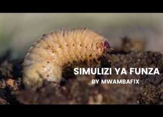 SIMULIZI MPYA YA FUNZA 19 I SIMULIZI YA KUSISIMUA I Mwambafix