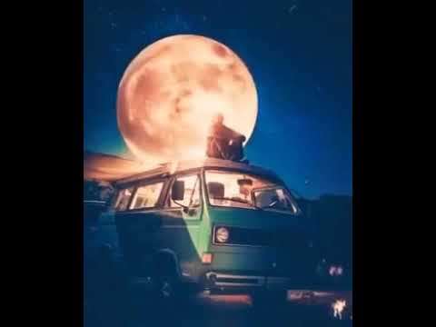 بنتمني نعيش لما نبيع الوحده لو ببلاش حالات واتس اب