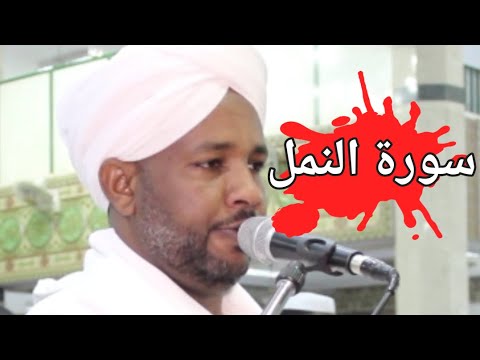 تلاوات سودانية سورة النمل كاملة تلاوة الشيخ الزين محمد أحمد مشاهدة ممتعة