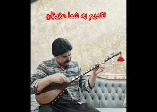 دوتار محمد حدادیان فاروجی نمیگم سنگه دلت تقدیم به عزیزان هنر دوست دوتار ساز هایده اغاسی خواننده