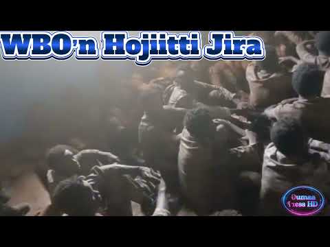 Booji Amtoota Waraana Bilisummaa Oromoo WBO