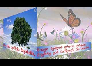  გაზაფხულის მოლოდინში
