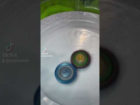 كيف تفوز أي بلبل بثواني