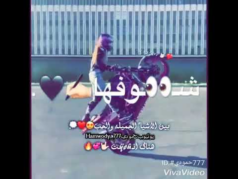 مهرجانات بيت عطره وبنت خطره وبنت قادره