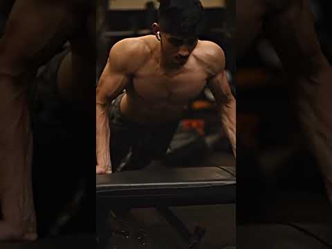 Gym Workout Song In Hindi Workout Songs In Hindi Motivational Songs In Hindi