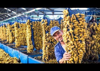  How China Farms BILLIONS Of Silkworms For Silk HOW IT S MADE