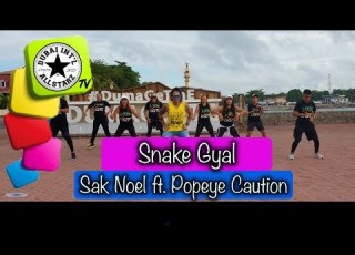 Snake Gyal Sak Noel Ft Popeye Caution Zumba Alfredo Jay Choreography Dance
