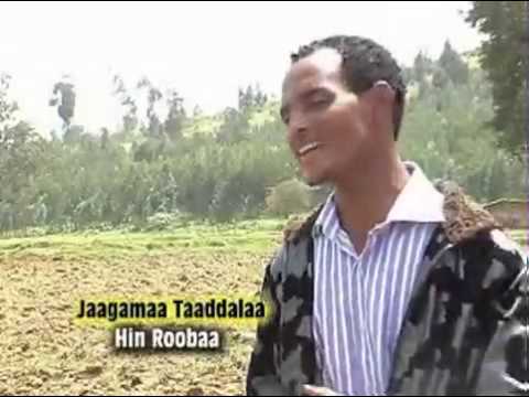 Jaagamaa Taaddalaa Hin Roobaa Oromo Music